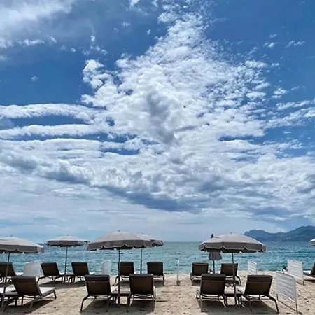 Heart Of Town Cozy Bright Warm & Sunny By Olam